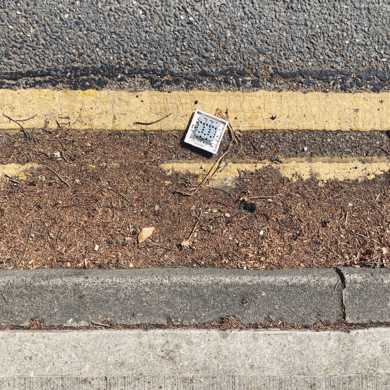 Photograph of what looks like the back of a fuse/switch box in a gutter, between painted double yellow lines with fallen pine needles/soil below and curb and pavement at the bottom of the frame.