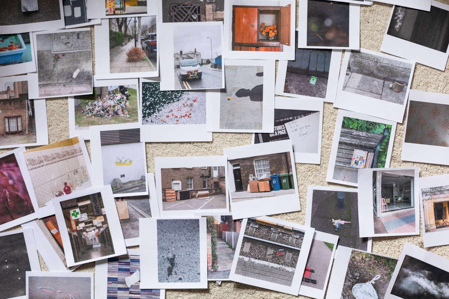 Photograph of lots of photographs printed on small pieces of copy paper, loosely arranged on a beige carpet. The photographs include furniture dumped by the sides of roads, fallen petals, illuminated signs and a squashed scorpion.