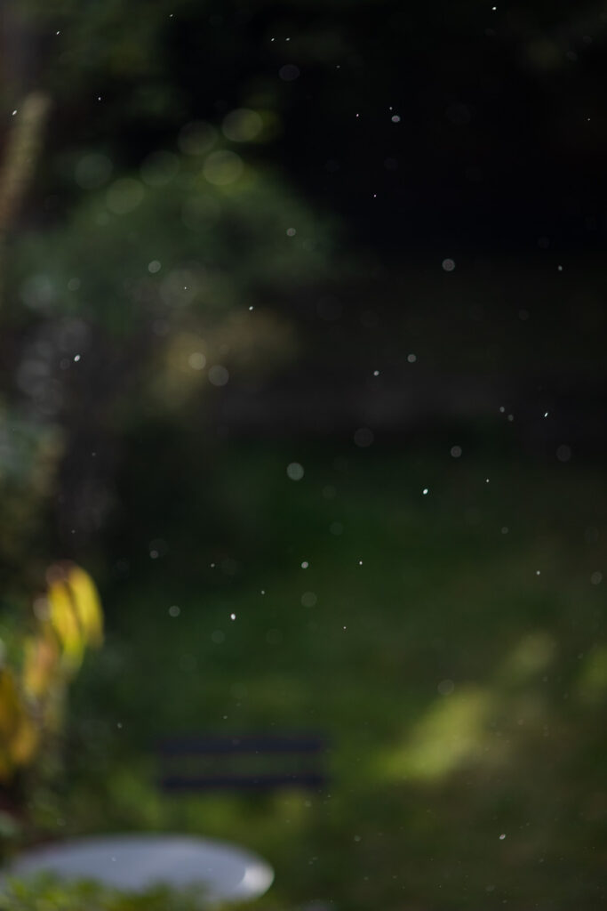 Colchester, UK, September 2024. Selective focus photograph of snowflakes, mostly out of focus, with a very out of focus garden behind. In the lower left corner of the frame part of a bistro table and chair set can be seen, with dappled sunlight catching yellow leaves of a cherry tree and grass to the right.