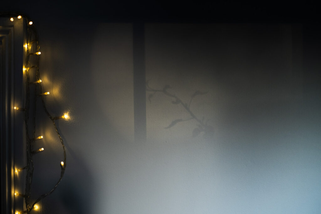 Photograph of a grey wall with fairy lights draped on a doorframe to the left and the light and shadow of a window in the centre of the image, showing the shape of a climbing plant.